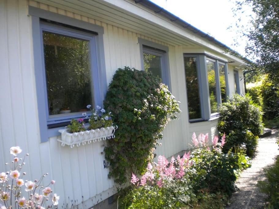 Villa Med Blommande Traedgard, Centralt โบสตัด ภายนอก รูปภาพ